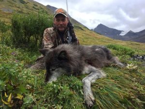 Ron Poffenberger BC Wolf 2015