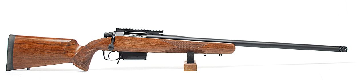 CMT0463.1