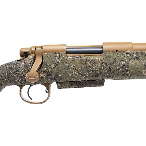 Remington/HS Precision Custom 204 Ruger